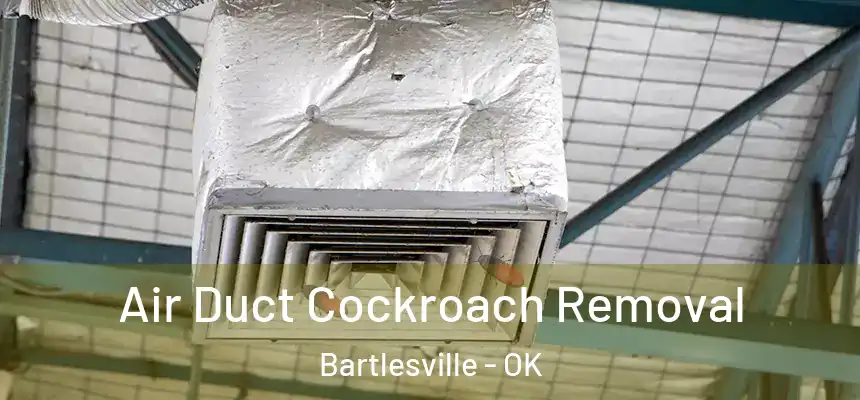  Air Duct Cockroach Removal Bartlesville - OK