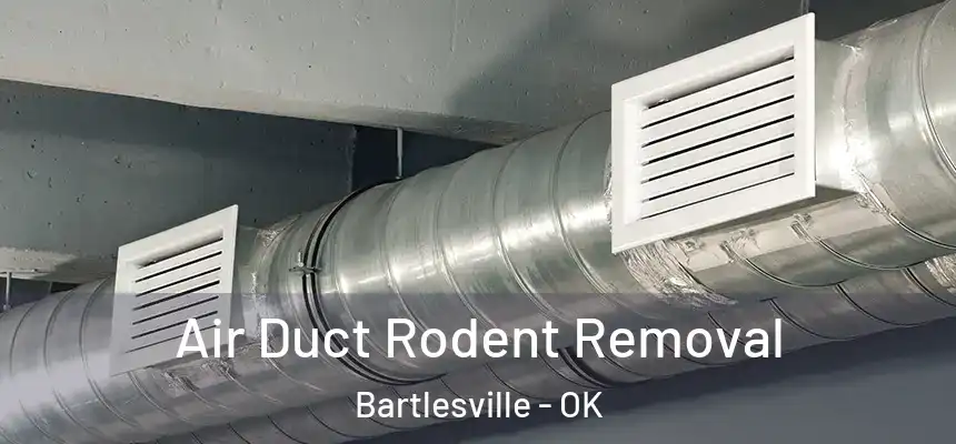  Air Duct Rodent Removal Bartlesville - OK
