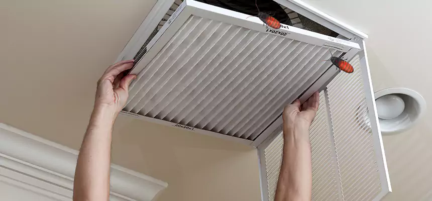 Preventive Cockroach-Proofing for Ducts in Bartlesville