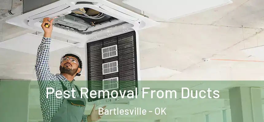  Pest Removal From Ducts Bartlesville - OK