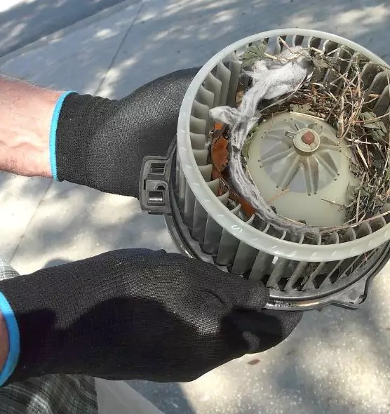 About Air Duct Rat Removal in Bartlesville, OK