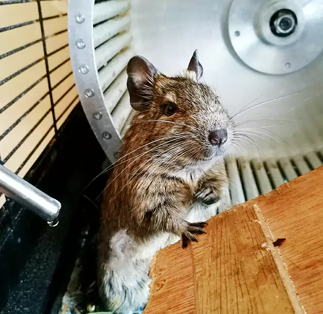 Why Homeowners & Businesses Trust Us Bartlesville, OK